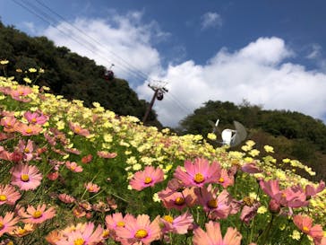 神戸布引ハーブ園／ロープウェイに投稿された画像（2020/10/30）