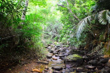 西表島 ADVENTURE PiPi（アドベンチャーピピ）に投稿された画像（2020/10/31）