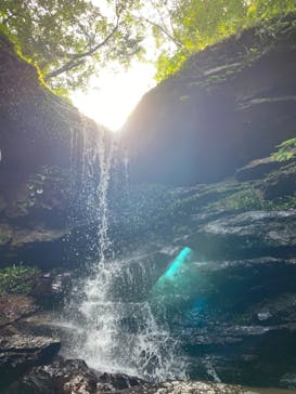 西表島 ADVENTURE PiPi（アドベンチャーピピ）に投稿された画像（2020/10/31）