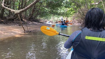 西表島 ADVENTURE PiPi（アドベンチャーピピ）に投稿された画像（2020/10/31）