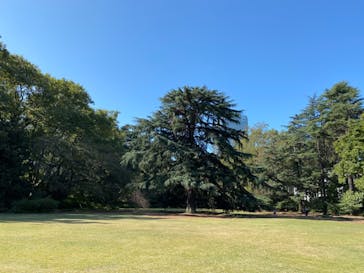 新宿御苑に投稿された画像（2020/10/31）