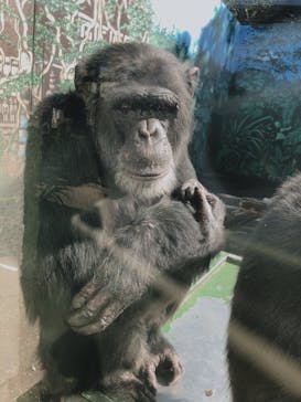 伊豆シャボテン動物公園に投稿された画像（2020/10/31）