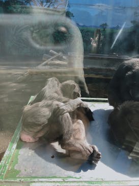 伊豆シャボテン動物公園に投稿された画像（2020/10/31）