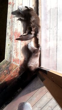 那須ハイランドパークに投稿された画像（2020/10/31）