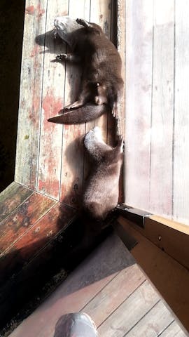 おさ さまが 10 31 土に投稿した口コミ アソビュー