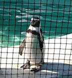 天王寺動物園に投稿された画像（2020/10/31）