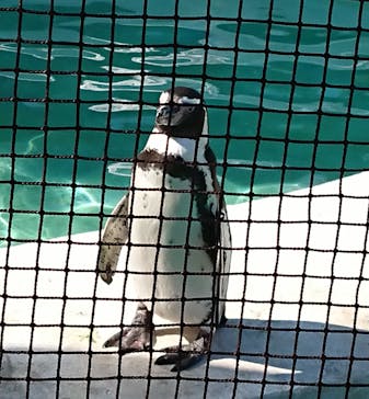 天王寺動物園に投稿された画像（2020/10/31）