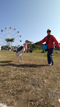 秋吉台自然動物公園 サファリランドに投稿された画像（2020/10/31）