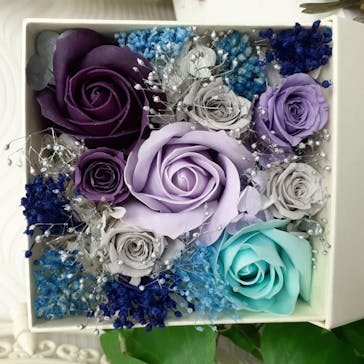 ずこうしつ〜sugamo〜に投稿された画像（2020/10/31）