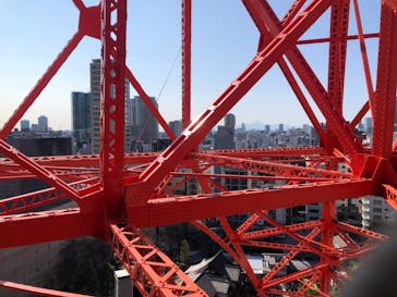 東京タワーに投稿された画像（2020/10/31）