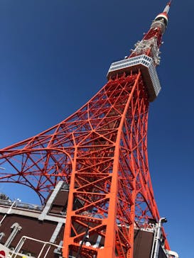 東京タワーに投稿された画像（2020/10/31）