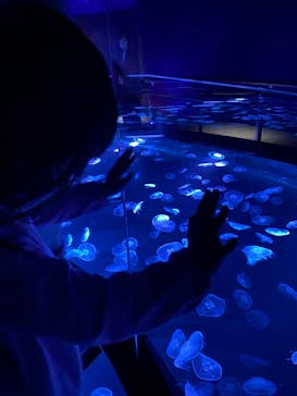 すみだ水族館に投稿された画像（2020/10/31）
