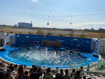 仙台うみの杜水族館に投稿された画像（2020/10/31）