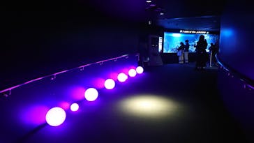 サンシャイン水族館に投稿された画像（2020/10/31）