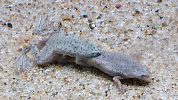 サンシャイン水族館に投稿された画像（2020/10/31）