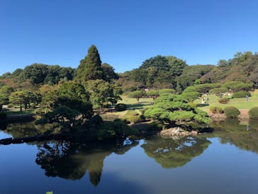 新宿御苑に投稿された画像（2020/10/31）