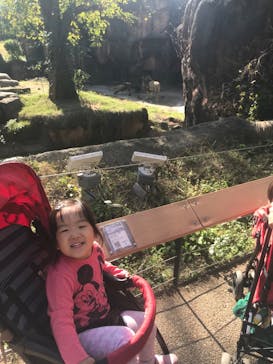 天王寺動物園に投稿された画像（2020/10/31）