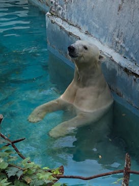 天王寺動物園に投稿された画像（2020/10/31）