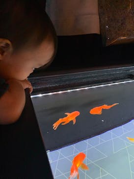 すみだ水族館に投稿された画像（2020/10/31）