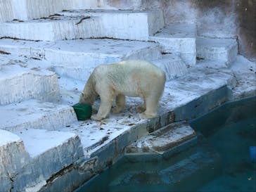 天王寺動物園に投稿された画像（2020/10/31）