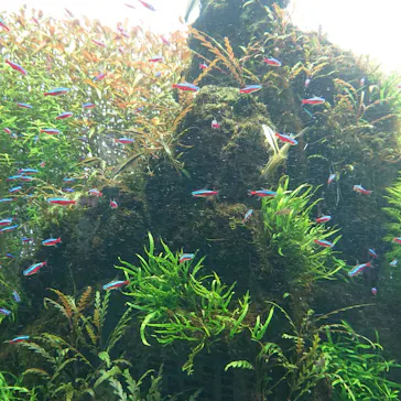 すみだ水族館に投稿された画像（2020/10/31）