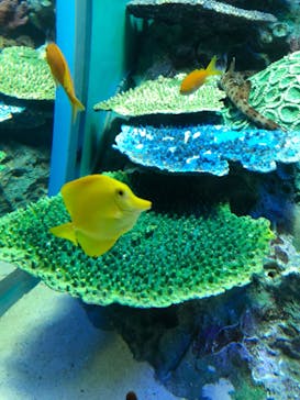 サンシャイン水族館に投稿された画像（2020/10/31）