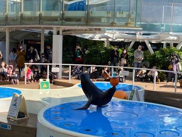 サンシャイン水族館に投稿された画像（2020/10/31）