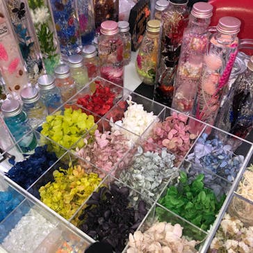 ずこうしつ〜sugamo〜に投稿された画像（2020/10/31）