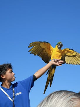 那須どうぶつ王国に投稿された画像（2020/10/31）