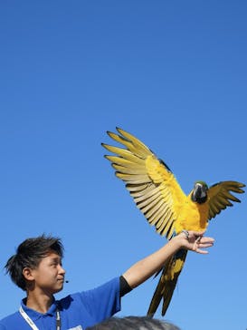 那須どうぶつ王国に投稿された画像（2020/10/31）