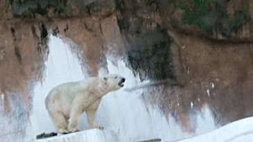 天王寺動物園に投稿された画像（2020/10/31）