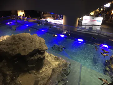 すみだ水族館に投稿された画像（2020/10/31）