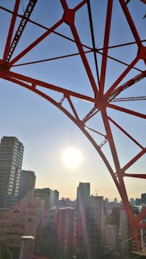 東京タワーに投稿された画像（2020/10/31）