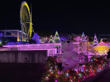 よみうりランド 遊園地に投稿された画像（2020/10/31）