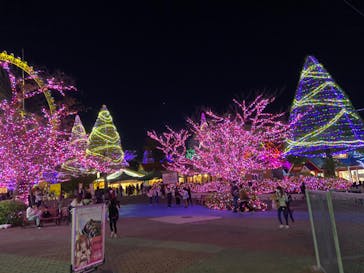 よみうりランド 遊園地に投稿された画像（2020/10/31）