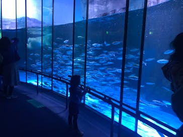 横浜・八景島シーパラダイスに投稿された画像（2020/10/31）