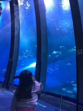 横浜・八景島シーパラダイスに投稿された画像（2020/10/31）