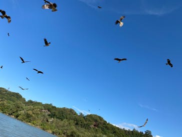 天竜舟下りに投稿された画像（2020/10/31）