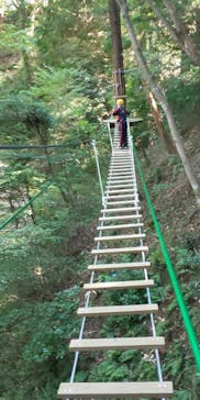 【契約解除】冒険の森せきに投稿された画像（2020/10/31）