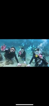 武藤潜水に投稿された画像（2020/10/31）