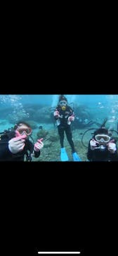 武藤潜水に投稿された画像（2020/10/31）