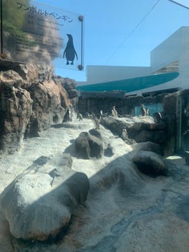 鳥羽水族館に投稿された画像（2020/10/31）