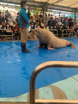鳥羽水族館に投稿された画像（2020/10/31）