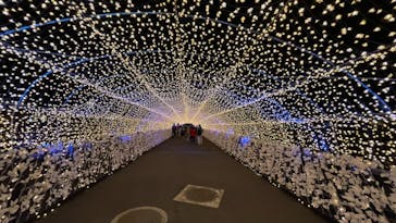 東京メガイルミに投稿された画像（2020/10/31）