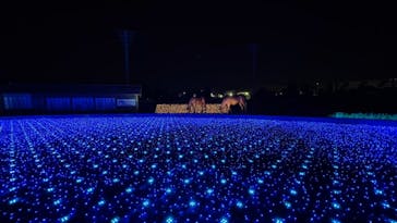 東京メガイルミに投稿された画像（2020/10/31）