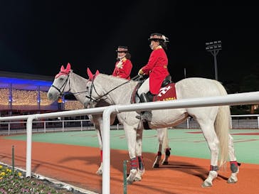 東京メガイルミに投稿された画像（2020/10/31）