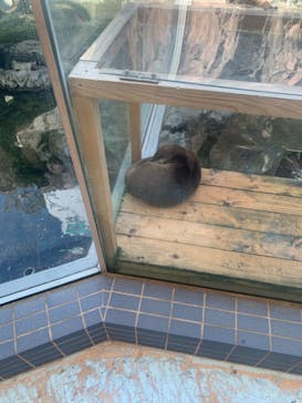 鳥羽水族館に投稿された画像（2020/10/31）
