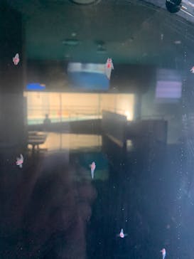 鳥羽水族館に投稿された画像（2020/10/31）