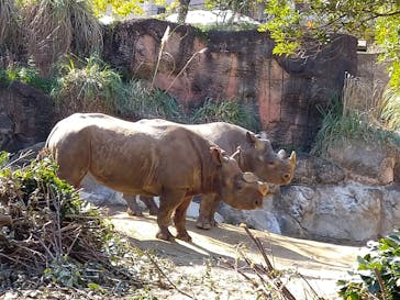 天王寺動物園に投稿された画像（2020/10/31）