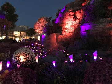 ひらかたパークに投稿された画像（2020/10/31）